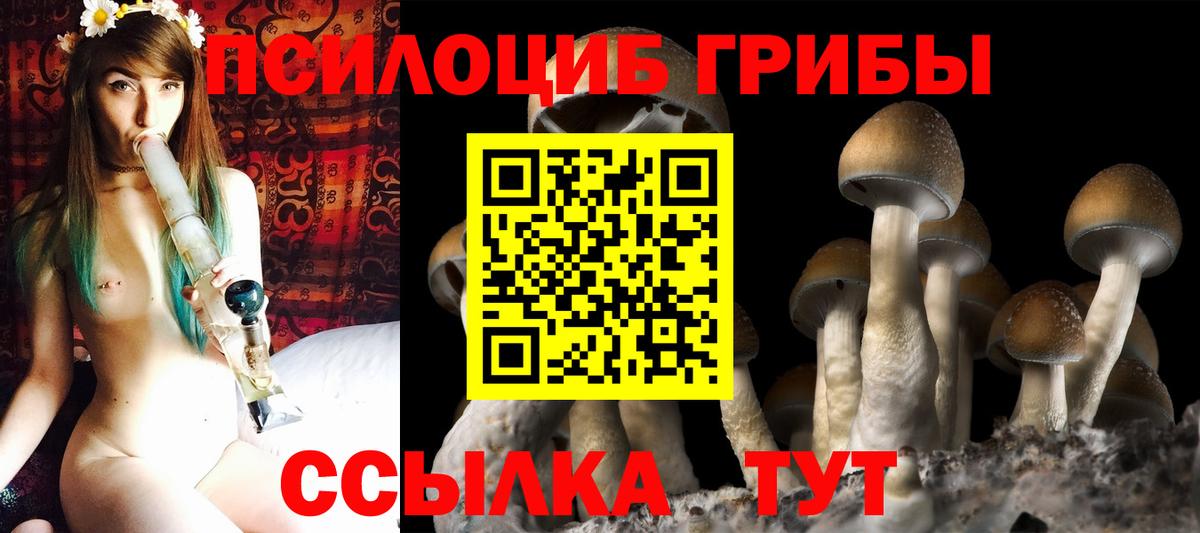 Кинешма  Галлюциногенные грибы Cubensis  Вход с VPN  Галлюциногенные грибы Psilocybine cubensis 